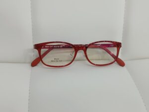 1774274944643 300x225